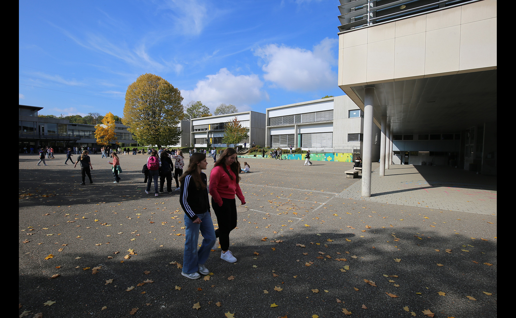 Cour - Collège Lucien Herr, Collège Idéal / Altkirch