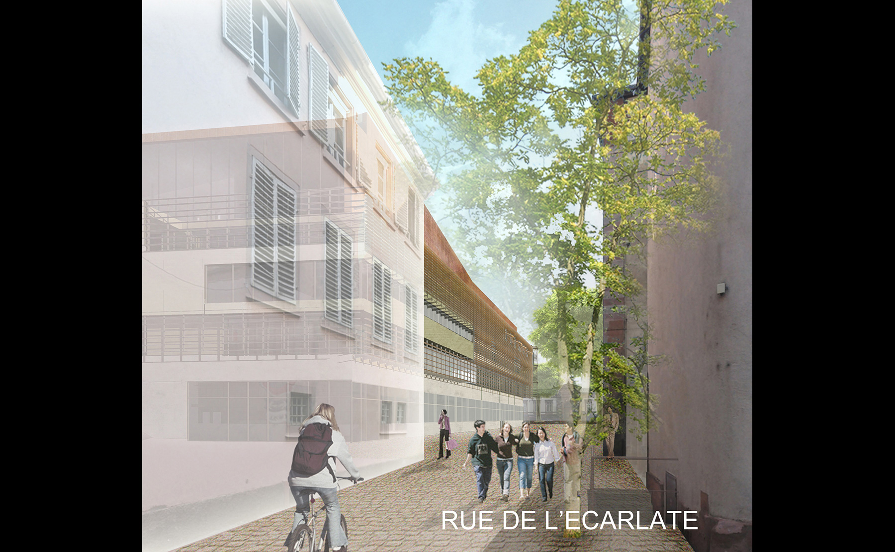 Rue de l'écarlate - PAPS-PCPI / Strasbourg