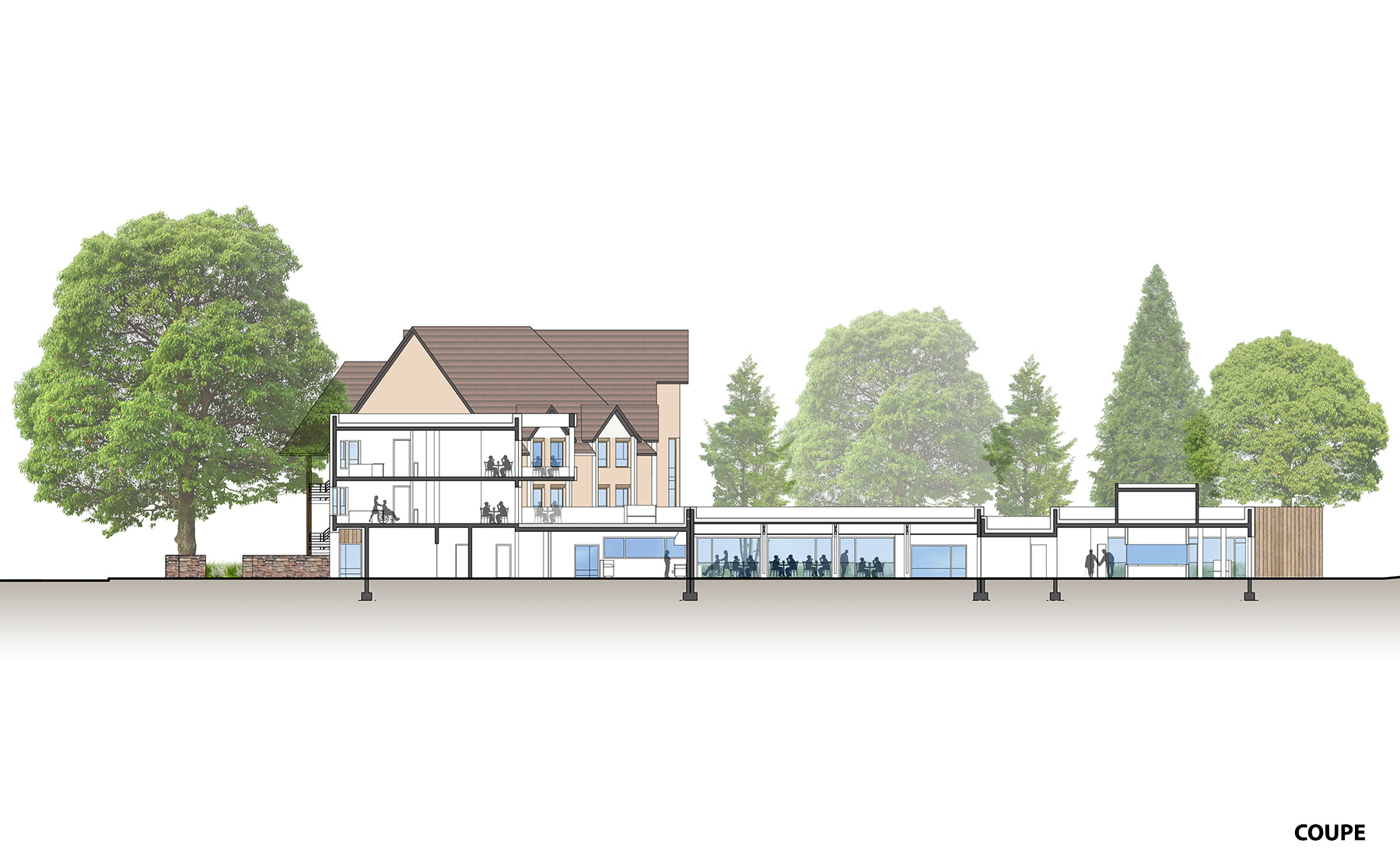 Coupe - Restructuration et extension de l'EHPAD du Badbronn / Châtenois