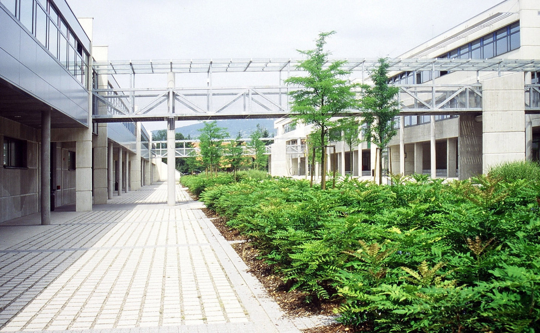 Parvis cour - Lycée Stanislas / Wissembourg
